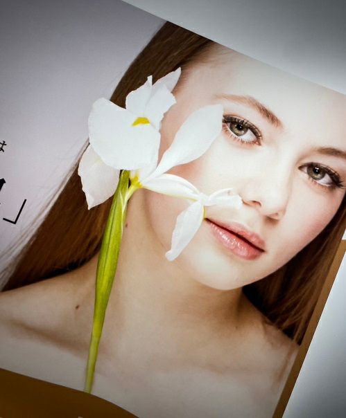 電飾用バックライトフィルムロール