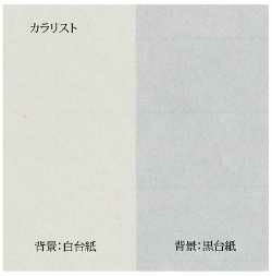 レーザープリンタ用 和紙カラリスト A4 10枚入