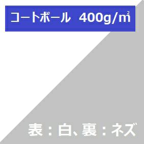 コートボール （表白、裏ネズ） 400g/m2品 A4 500枚箱入