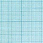 テラミスセクション ケミカルマットフィルム方眼印刷紙 50um A1 100枚 2TR01B