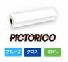 ピクトリコプルーフ グロスDCP7