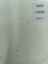 和紙金　水溶強粘　キセパ A4 (210×297ｍｍ）500枚