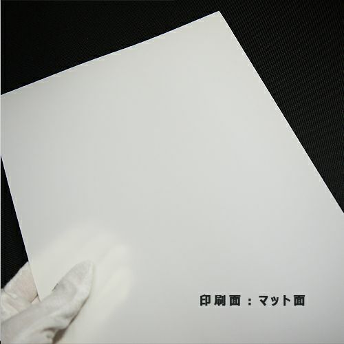 電飾用バックライトフィルム