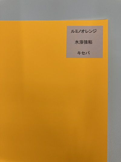 ルミノ　黄橙　ラベル　シール